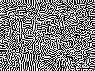 Image 45c37f497e52